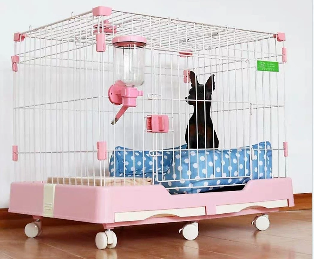 cat cage 1 cat cage 1