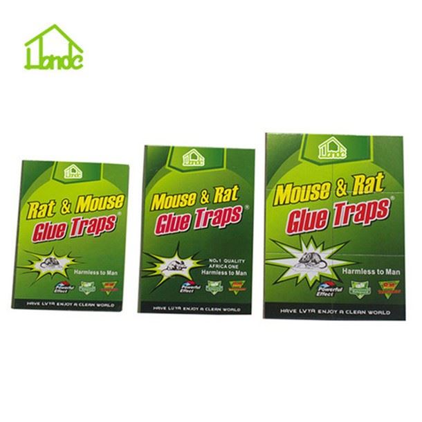 Paper Board Glue Trap For Rodent