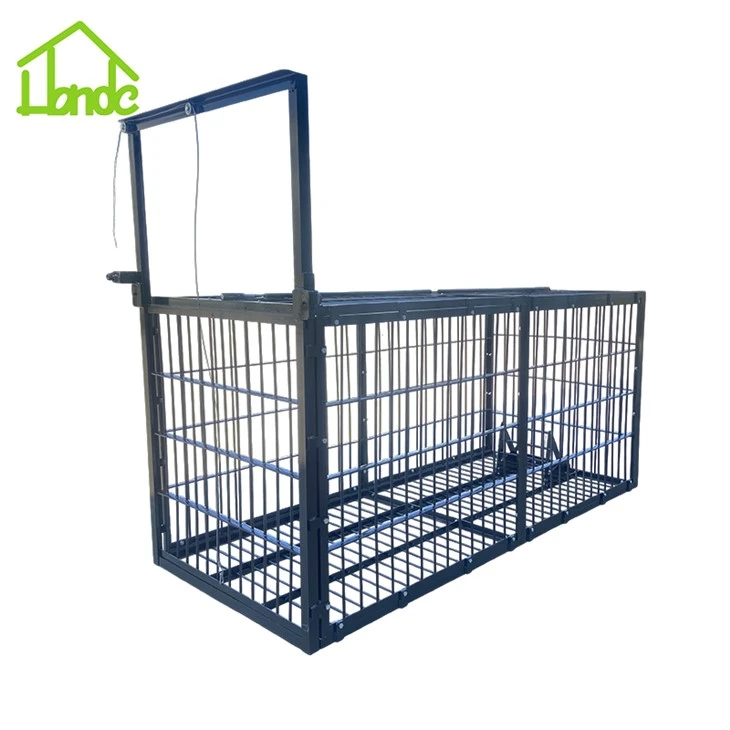 Bear Trap Cage